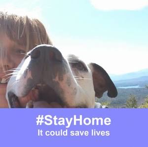 Meet your Posher, Robin